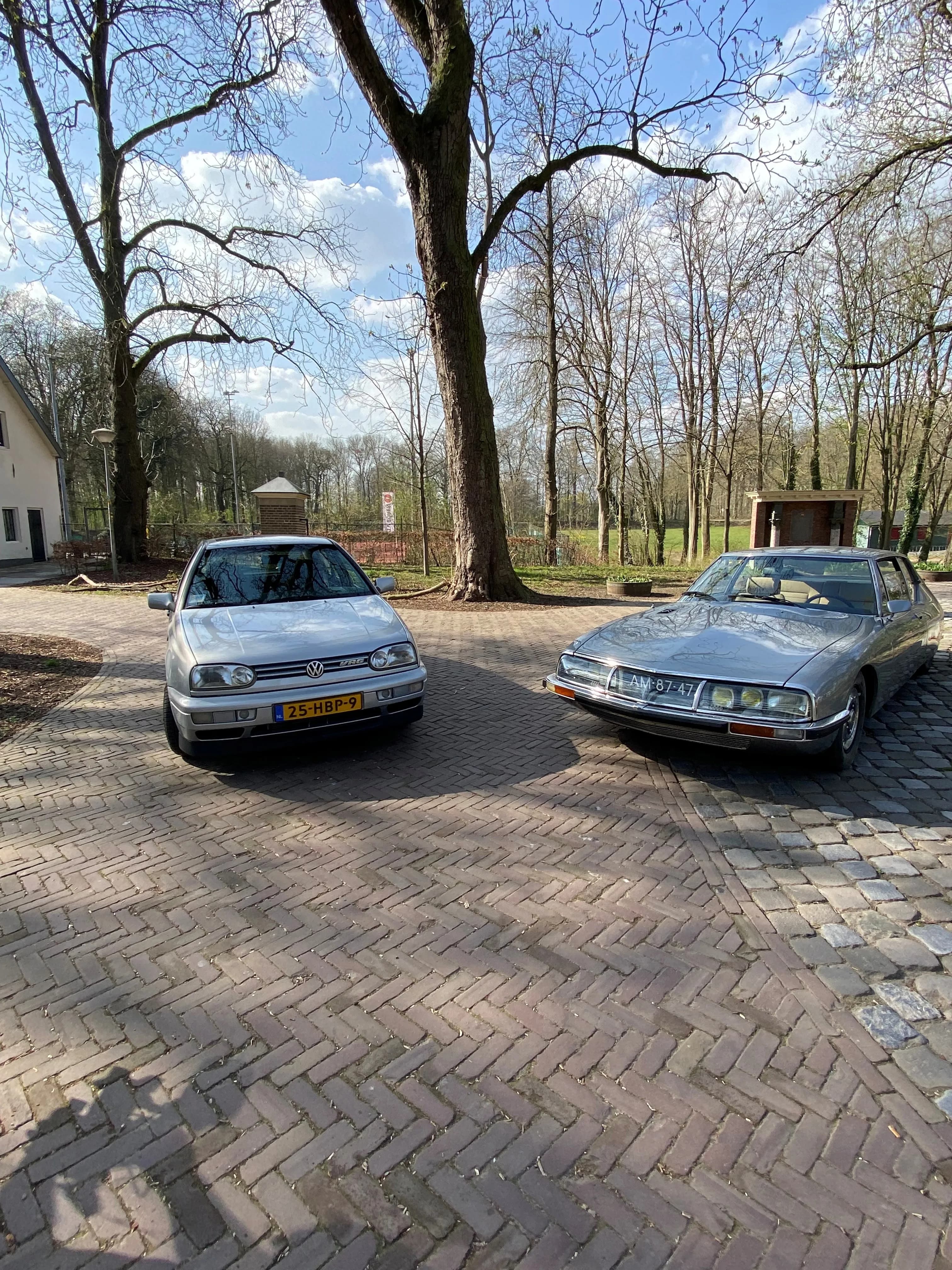 Twee klassieke auto's staan geparkeerd op een bestrate oprijlaan, omringd door bomen